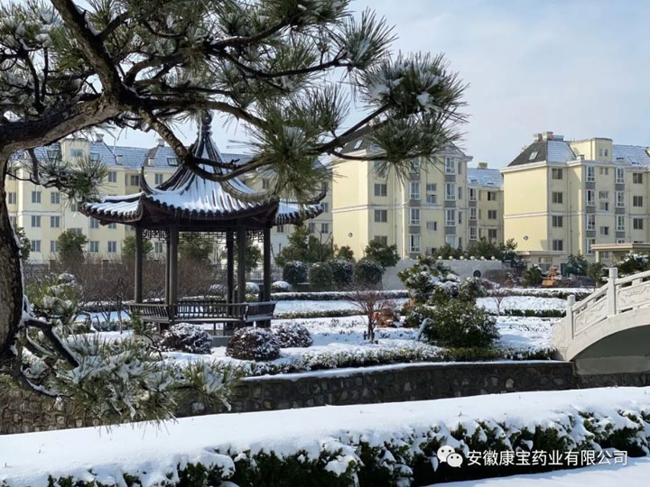 15828577907950.jpeg 640.jpeg